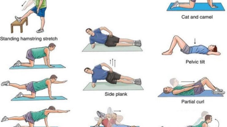 Exercises for lower back fat